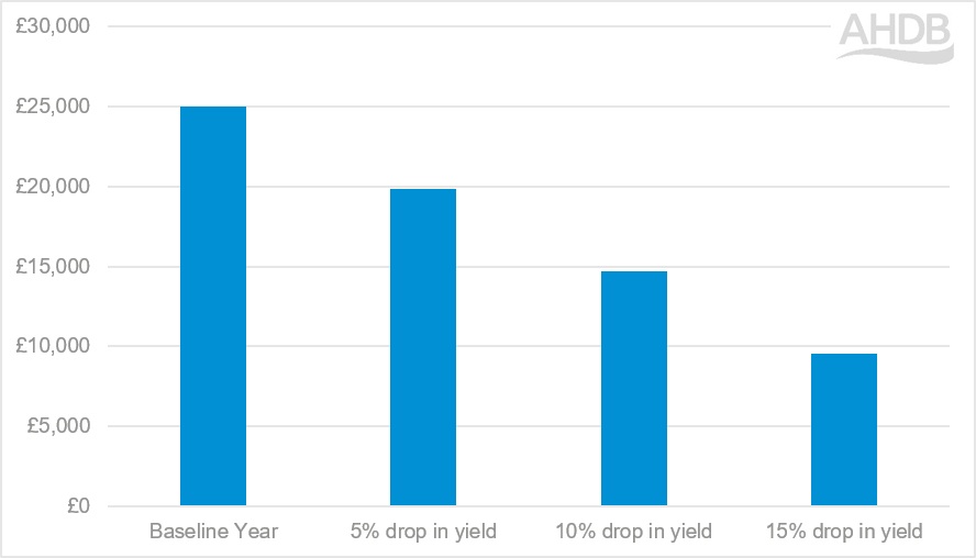 Graph showing impact of reduced yields on mixed farm